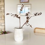 Ophelia Vase - Tall Knob-Handled Vessel in White
