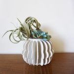 Scallop Fin Vase