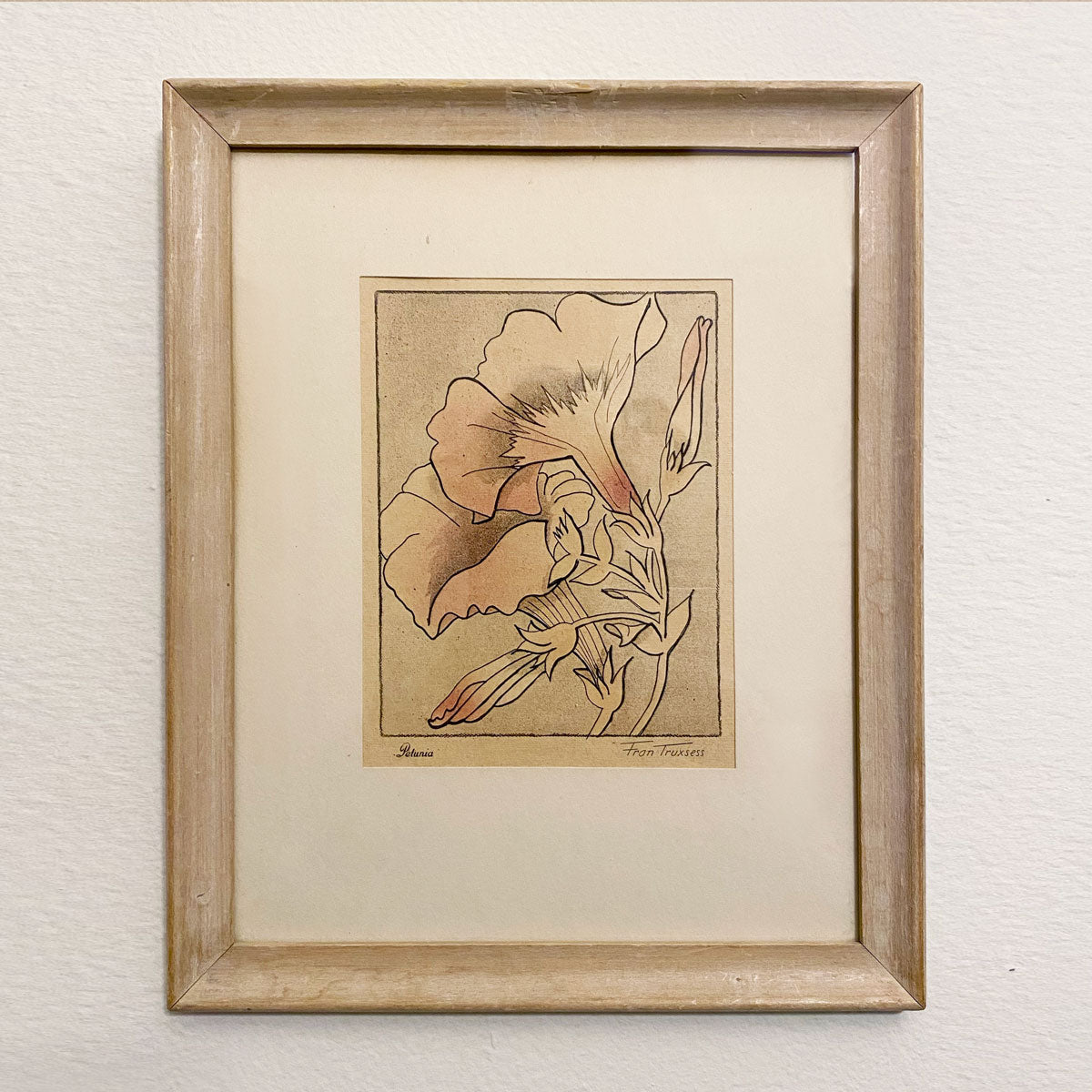 Salto-petunia1 Framed Vintage Petunia Flower Print - Image 1