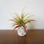 Tiny Bobble Dish - Image 2