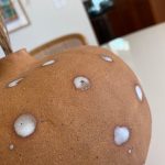 Dotted Brown Vase - Image 3