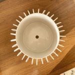 Urchin Fin Planter - Image 3