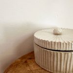 OOPS! Ribbed Container - Image 3
