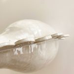 Scalloped Sculpture Vase - Image 5
